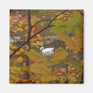 Aimant Étang d'automne avec cygne