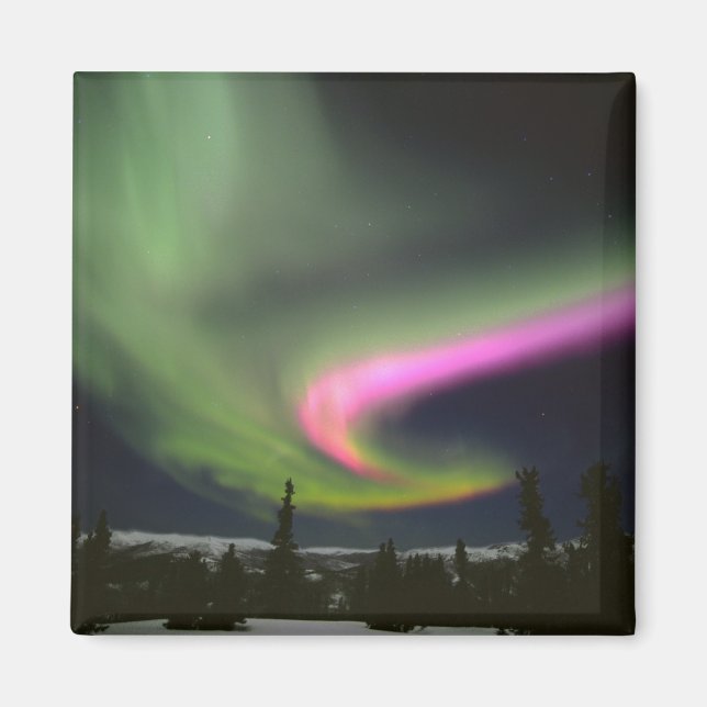 Aimant États-Unis, Alaska, Chena Hot Springs. Aurore 2 (Devant)