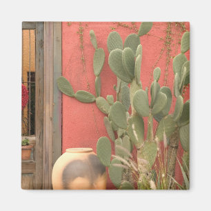 Aimant États-Unis, Arizona, Tucson : Presidio Historic Di
