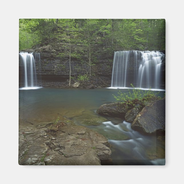 Aimant États-Unis, Arkansas, Ozark- St Francis National (Devant)