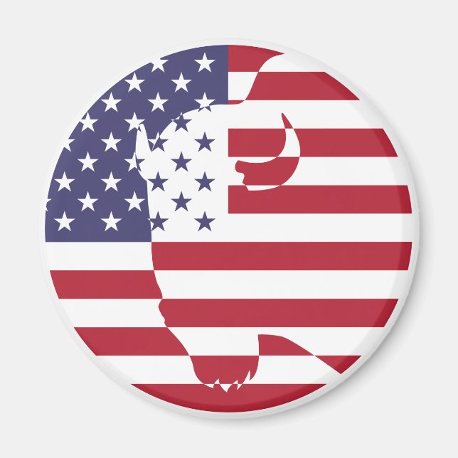 Aimant États-Unis Buffalo Bison American National (Devant)