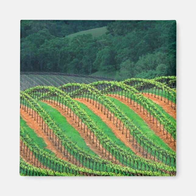 Aimant États-Unis, Californie, comté de Mendocino, un (Devant)