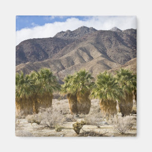 Aimant États-Unis, Californie, Parc d'État du désert d'An