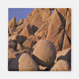 Aimant États-Unis, Californie, Parc national de Joshua Tr