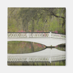 Aimant États-Unis; Caroline du Sud; Charleston; 3