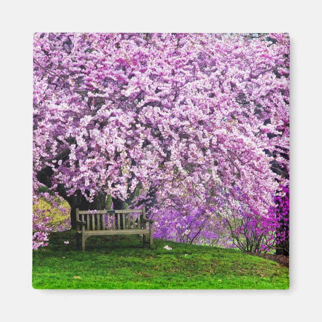Aimant États-Unis, Delaware, Wilmington. Banc en bois sou (Devant)