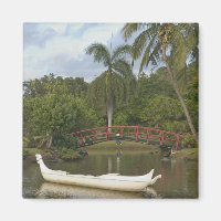 États-Unis, Hawaï, Kauai, jardin de luau de la fam