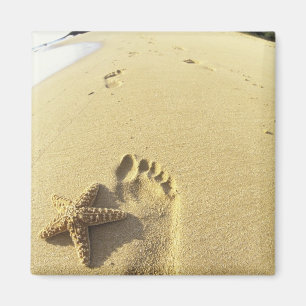 Aimant États-Unis, Hawaï, Maui, Makena Beach, Empreinte e