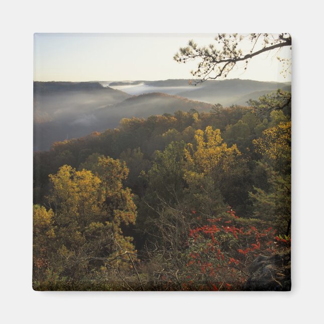 Aimant États-Unis, Kentucky. Forêt nationale Daniel Boone (Devant)