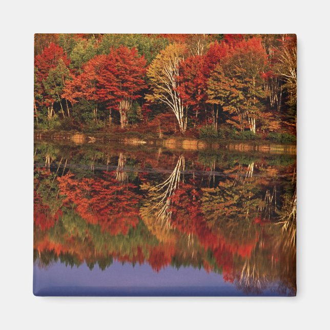 Aimant États-Unis, Michigan, Upper Peninsula. Automne (Devant)