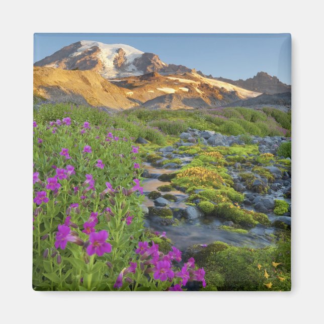 Aimant États-Unis, Mt. Rainier National Park, Washington. (Devant)