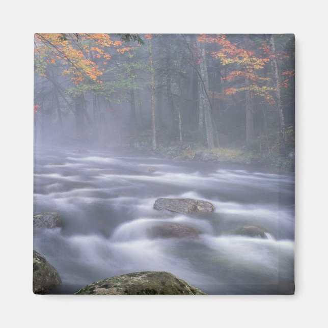 Aimant États-Unis, New York, Adirondacks, Big Moose River (Devant)