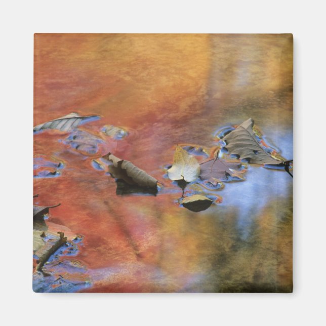 Aimant États-Unis, New York, Adirondacks, Feuilles mortes (Devant)