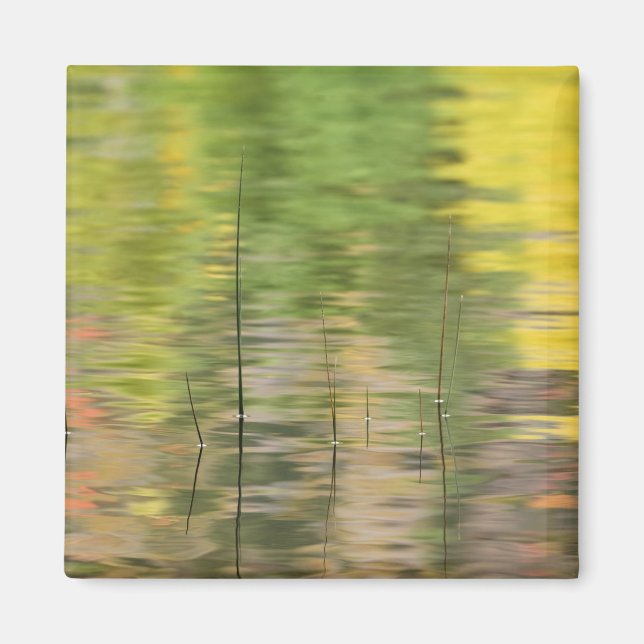 Aimant États-Unis, New York, Adirondacks, reflets dans l' (Devant)