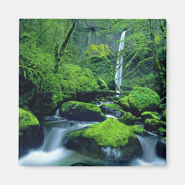 Aimant États-Unis, Oregon, Columbia River Gorge National  (Devant)