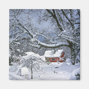 Aimant États-Unis, Oregon, comté de Clackamas. Neige fraî