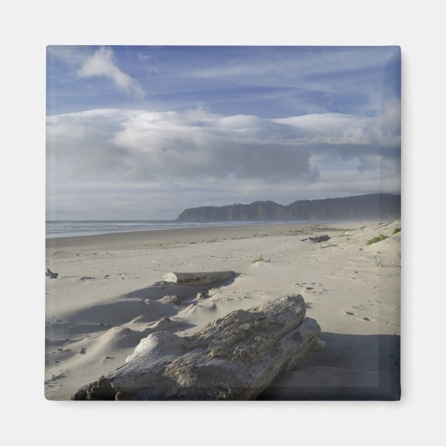 Aimant États-Unis, Oregon, dunes de sable et océan, Pacif (Devant)