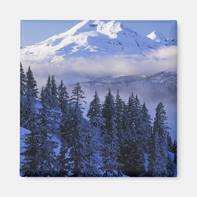 Aimant États-Unis, Oregon, Forêt nationale de Deschutes,  (Devant)