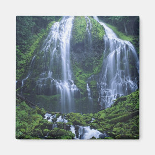Aimant États-Unis, Oregon, Forêt nationale de Willamette.