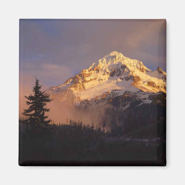 Aimant États-Unis, Oregon, Mt. Hood National Forest. Roul (Devant)