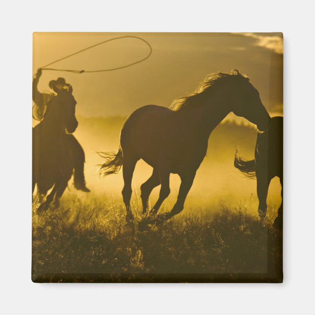 Aimant États-Unis, Oregon, Seneca, Ponderosa Ranch. (Devant)