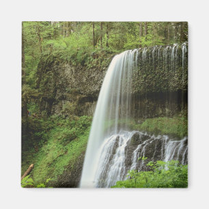 Aimant États-Unis, Oregon, Silver Falls State Park. Infér