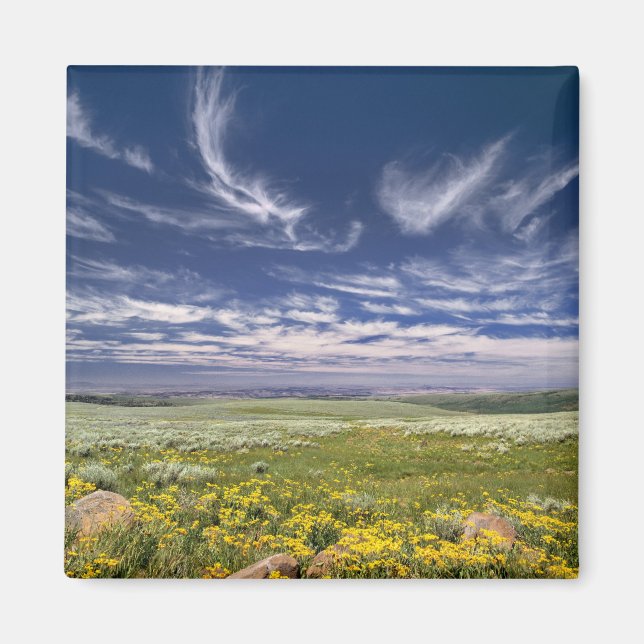Aimant États-Unis, Oregon, Steens Mountain. Le printemps  (Devant)