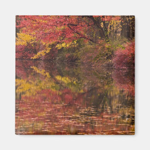 Aimant États-Unis, Pennsylvanie, Delaware Water Gap Natio