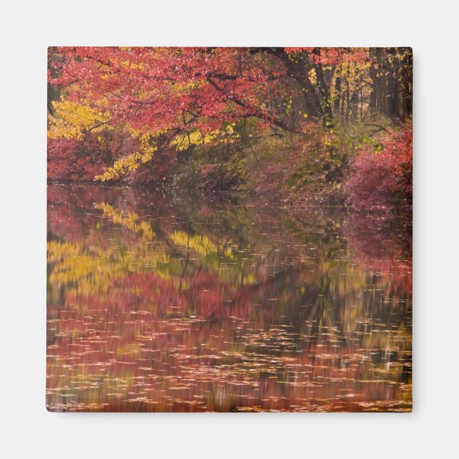 Aimant États-Unis, Pennsylvanie, Delaware Water Gap Natio (Devant)