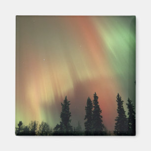 Aimant États-Unis, région de Fairbanks, centre de l'Alask
