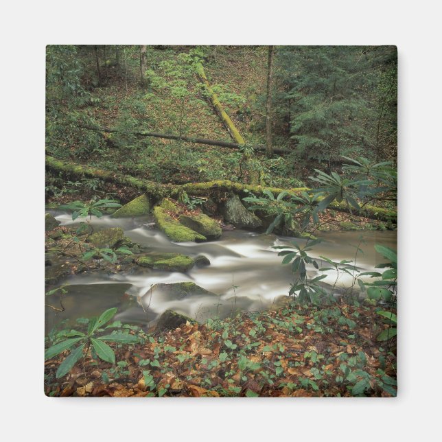 Aimant États-Unis, Tennessee. Big South Fork National Riv (Devant)