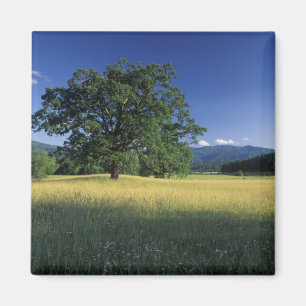 Aimant États-Unis, Tennessee. Grandes montagnes fumées 3