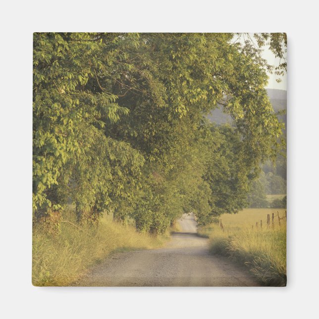 Aimant États-Unis, Tennessee, Great Smoky Mountains Natio (Devant)