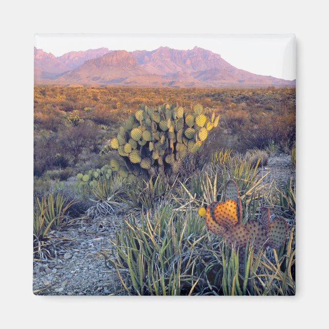 Aimant États-Unis, Texas, Big Bend NP. Un crépuscule rose (Devant)