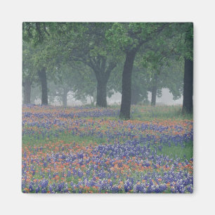Aimant États-Unis, Texas, Texas Hill Country Champ vaste