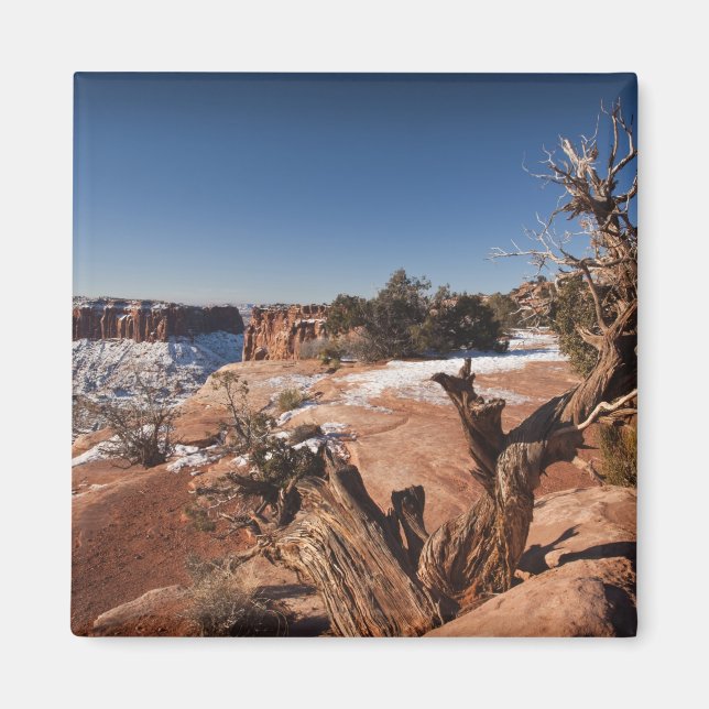 Aimant États-Unis, Utah, Moab. Parc national de Canyonlan (Devant)