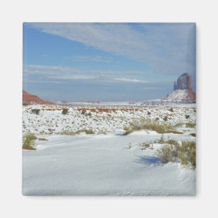 Aimant États-Unis, Utah, Monument Valley. L'armoise appar