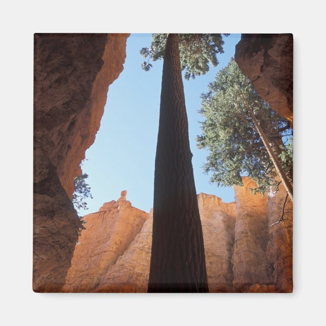 Aimant États-Unis, Utah, Parc national de Bryce Canyon. H (Devant)