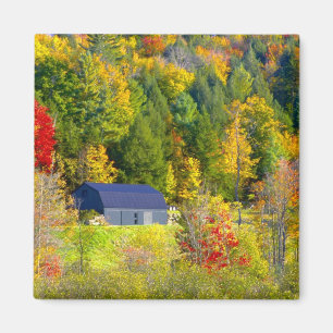 Aimant États-Unis, Vermont. Feuillage d'automne le long d