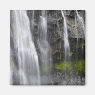 Aimant États-Unis, WA, Mt. Rainier NP, Narada Falls