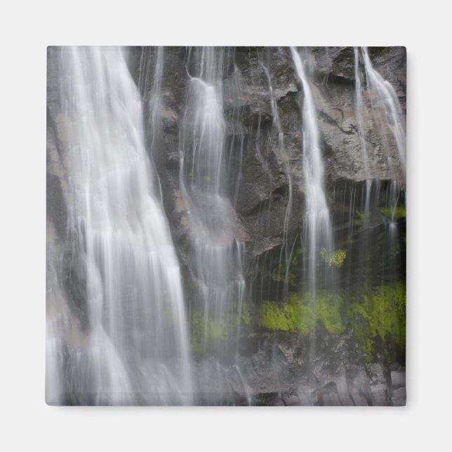 Aimant États-Unis, WA, Mt Rainier NP, Narada Falls (Devant)