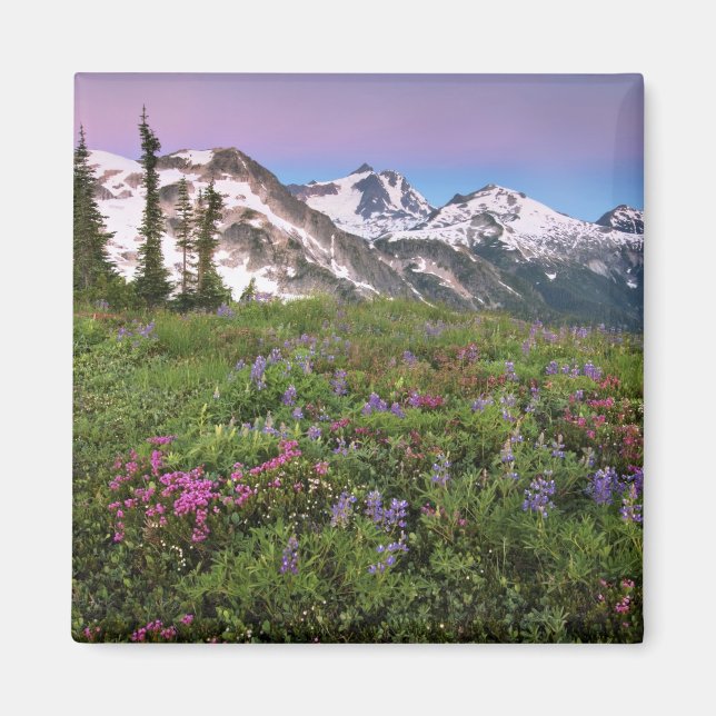Aimant États-Unis, Washington, montagnes Cascade, Nord (Devant)