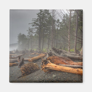 Aimant États-Unis, Washington, Parc national Olympique, R