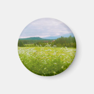 Aimant Été à Hälsingland - Helsingia 
