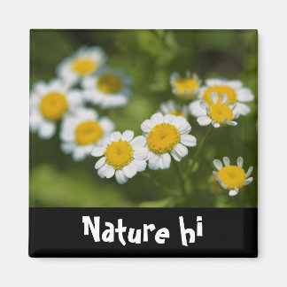 Aimant été à savourer