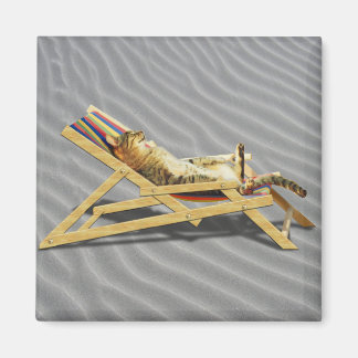Aimant Été Cat Nap en Chaise de plage avec ombre