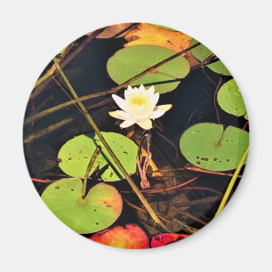 Aimant "Ethérée Lily Pad Pond avec Central White Blossom