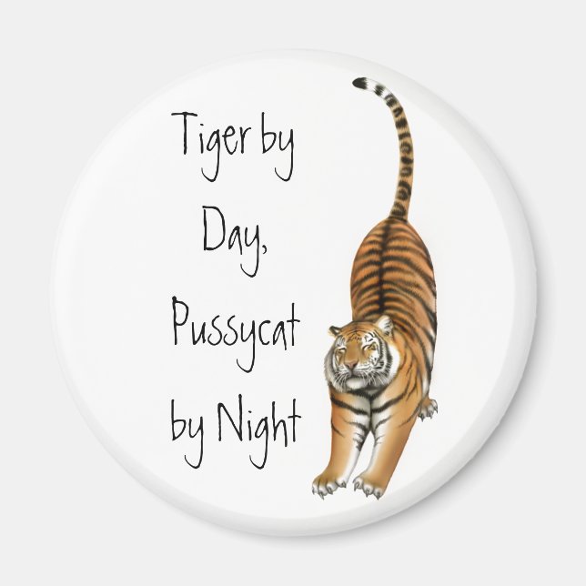 Aimant Étirement de l'aimant tigre du Bengale (Devant)