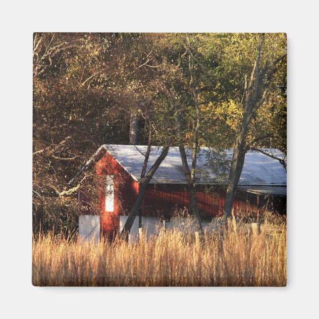 Aimant Étoile d'automne dans le Maryland central (Devant)