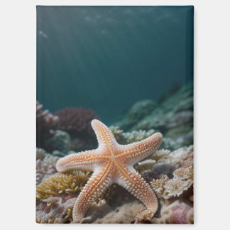 Aimant Étoiles de mer dans les profondeurs de la mer